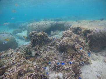 武藤潜水に投稿された画像（2021/3/21）