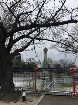 天王寺動物園に投稿された画像（2021/3/21）