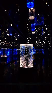 マクセル アクアパーク品川に投稿された画像（2021/3/21）