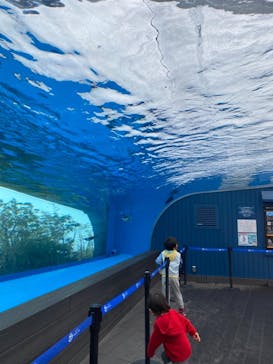 サンシャイン水族館に投稿された画像（2021/3/21）