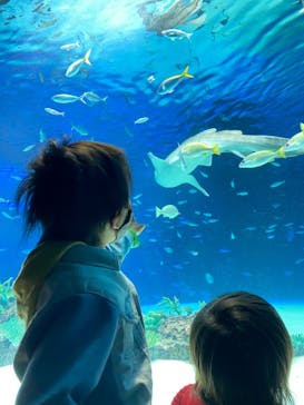 サンシャイン水族館に投稿された画像（2021/3/21）