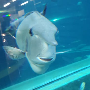 箱根園水族館に投稿された画像（2021/3/21）