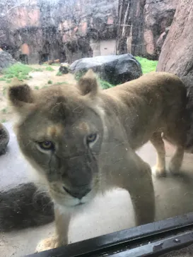天王寺動物園に投稿された画像（2021/3/21）