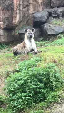 天王寺動物園に投稿された画像（2021/3/21）
