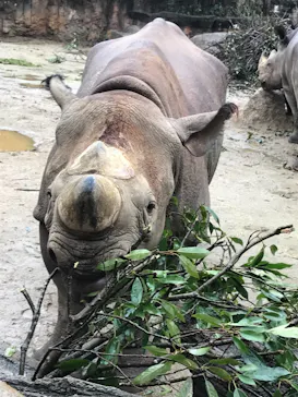 天王寺動物園に投稿された画像（2021/3/21）