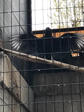 天王寺動物園に投稿された画像（2021/3/21）