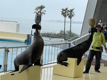 マリンワールド海の中道に投稿された画像（2021/3/21）