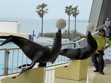 マリンワールド海の中道に投稿された画像（2021/3/21）