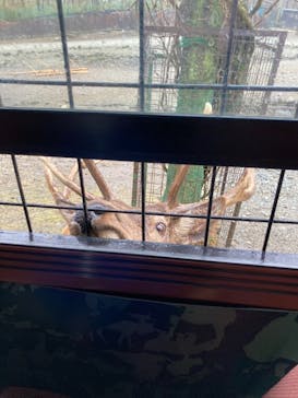 那須サファリパークに投稿された画像（2021/3/21）