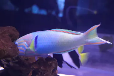 すみだ水族館に投稿された画像（2021/3/21）