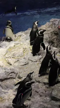 すみだ水族館に投稿された画像（2021/3/21）