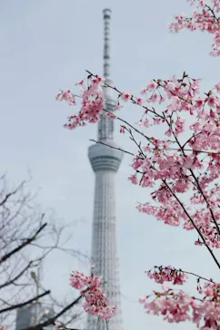 すみだ水族館に投稿された画像（2021/3/21）