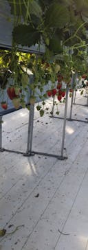 井上寅雄農園に投稿された画像（2021/3/21）