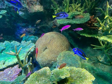 サンシャイン水族館に投稿された画像（2021/3/21）