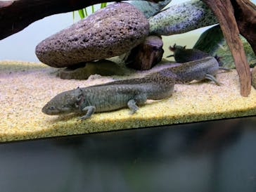 サンシャイン水族館に投稿された画像（2021/3/21）