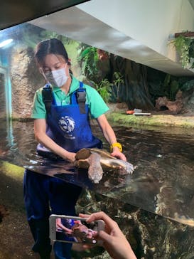 サンシャイン水族館に投稿された画像（2021/3/21）