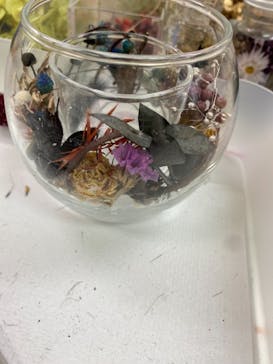 ずこうしつ〜sugamo〜に投稿された画像（2021/3/21）