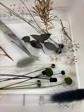 ずこうしつ〜sugamo〜に投稿された画像（2021/3/21）