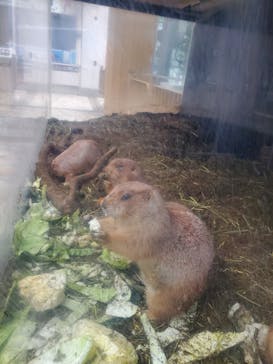 横浜・八景島シーパラダイスに投稿された画像（2021/3/21）