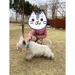 つくばわんわんランドに投稿された画像（2021/3/21）