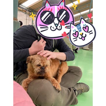 つくばわんわんランドに投稿された画像（2021/3/21）