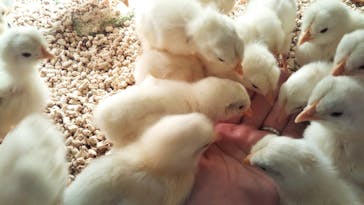 Moff animal cafe イオンモール幕張新都心店に投稿された画像（2021/3/21）