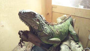 Moff animal cafe イオンモール幕張新都心店に投稿された画像（2021/3/21）