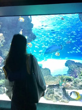 サンシャイン水族館に投稿された画像（2021/3/21）
