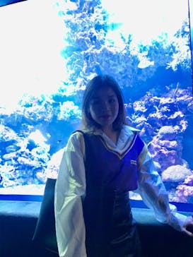 サンシャイン水族館に投稿された画像（2021/3/21）