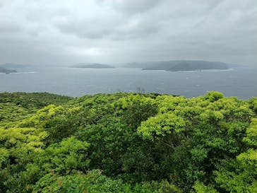 ミッドナイトツアー 奄美に投稿された画像（2021/3/21）