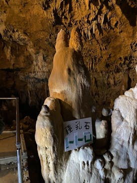 石垣島鍾乳洞に投稿された画像（2021/3/22）