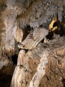 石垣島鍾乳洞に投稿された画像（2021/3/22）