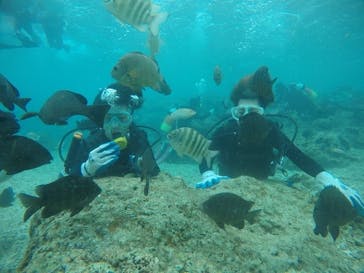 武藤潜水に投稿された画像（2021/3/22）