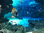 サンシャイン水族館に投稿された画像（2021/3/22）