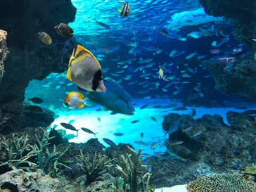 サンシャイン水族館に投稿された画像（2021/3/22）