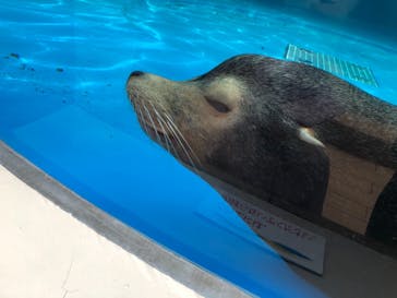 サンシャイン水族館に投稿された画像（2021/3/22）