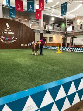 ノーザンホースパークに投稿された画像（2021/3/22）