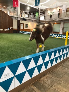 ノーザンホースパークに投稿された画像（2021/3/22）