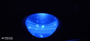 サンシャイン水族館に投稿された画像（2021/3/22）