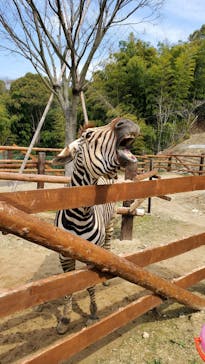 しろとり動物園に投稿された画像（2021/3/22）