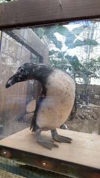 ゼロ距離水族館 伊勢シーパラダイスに投稿された画像（2021/3/22）