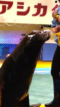 ゼロ距離水族館 伊勢シーパラダイスに投稿された画像（2021/3/22）