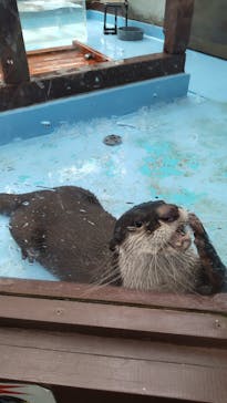 ゼロ距離水族館 伊勢シーパラダイスに投稿された画像（2021/3/22）