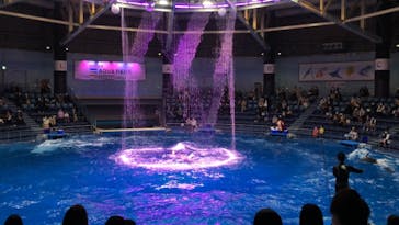 マクセル アクアパーク品川に投稿された画像（2021/3/22）