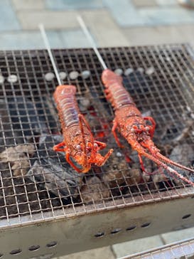 志摩市浜島磯体験施設 海ほおずきに投稿された画像（2021/3/22）