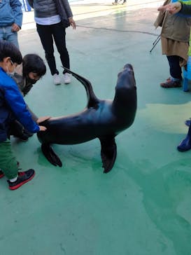 ゼロ距離水族館 伊勢シーパラダイスに投稿された画像（2021/3/22）