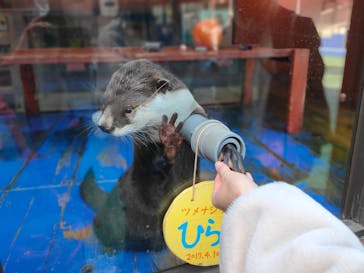ゼロ距離水族館 伊勢シーパラダイスに投稿された画像（2021/3/22）