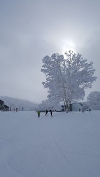 野沢温泉スキー場に投稿された画像（2021/3/22）