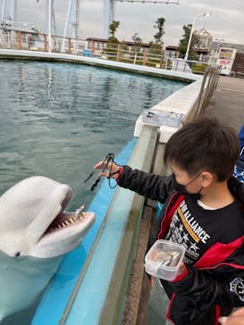 横浜・八景島シーパラダイスに投稿された画像（2021/3/22）