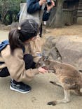 伊豆シャボテン動物公園に投稿された画像（2021/3/22）